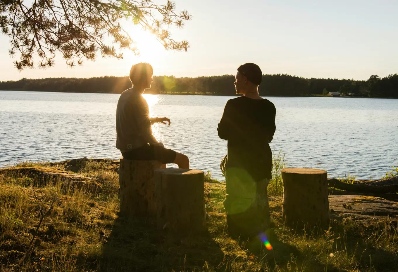 by the way va mind you